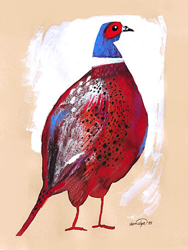 Bold Red Pheasant Art Print