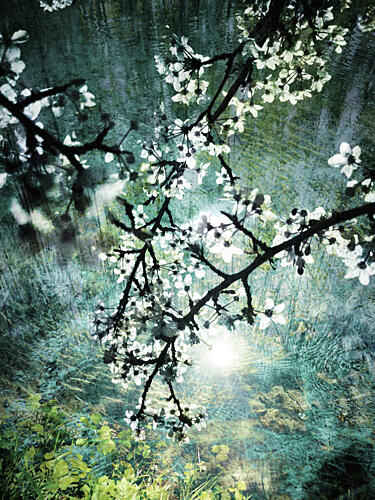 Ethereal Forest Bloom Art Print
