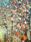Magic Woods (2) Art Print