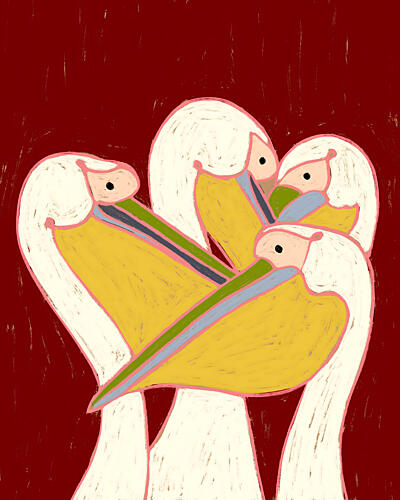 Colorful Pelican Flock Art Print