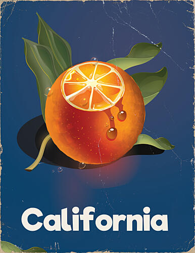 Juicy California Orange Art Print