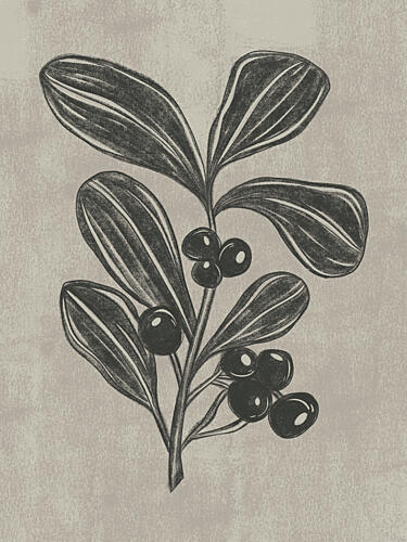 Botanical Berry Sketch Art Print
