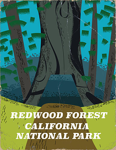 Redwood Forest California Art Print