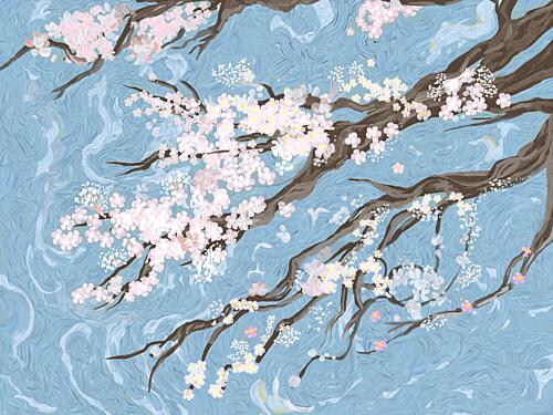 Spring Cherry Blossoms Blue Art Print