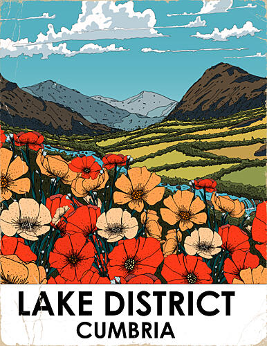 Lake District Wildflowers Art Print