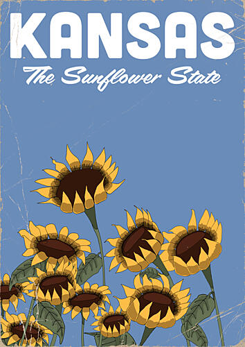 Kansas Sunflower State Art Print