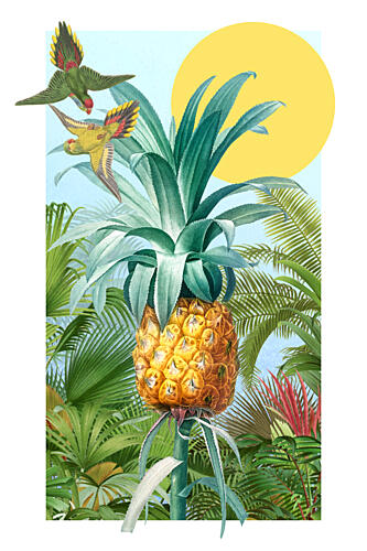 Vibrant Tropical Pineapple Tropical Print