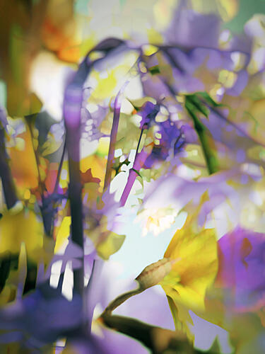 Dreamy Floral Abstract Art Print