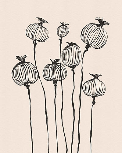 Graceful Poppy Pods Pop art reproduction