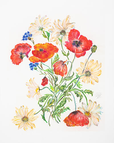 Vibrant Poppy Daisy Bouquet Pop art reproduction