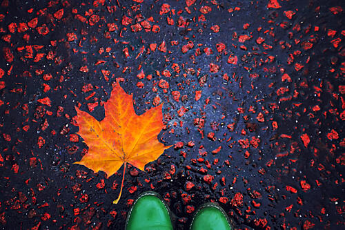 Autumn Maple Leaf and Boots Art Print by Ralitsa Byalkova