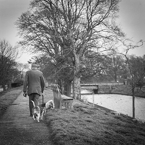 Man and Dogs Winter Walk Art Print