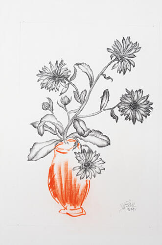 Orange Vase Botanical Drawing Art Print