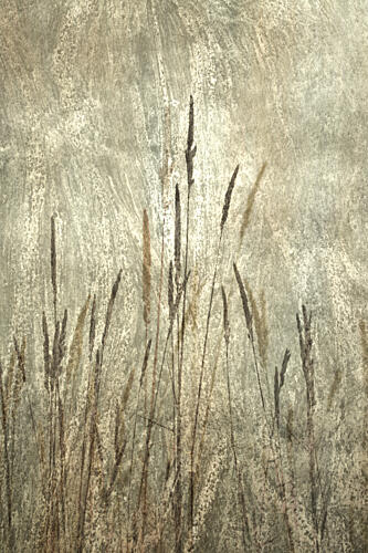 Rustic Tall Grasses Art Print