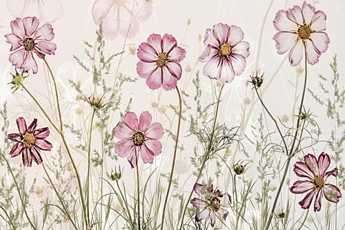 Summer Memory Art Print