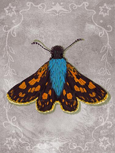 Blue Spotted Moth Art Print