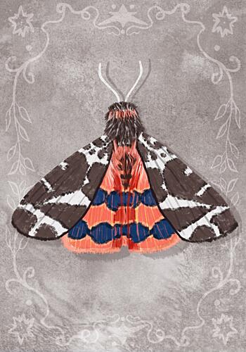Vibrant Moth Illustration Art Print