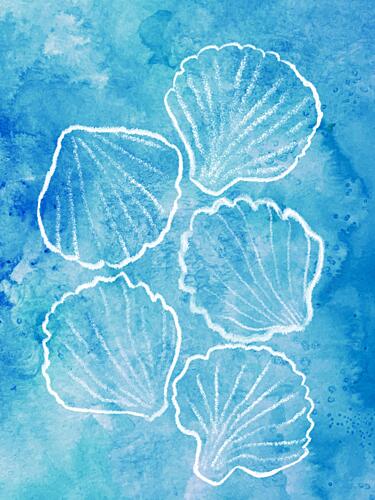Watercolor Sea Shells Art Print