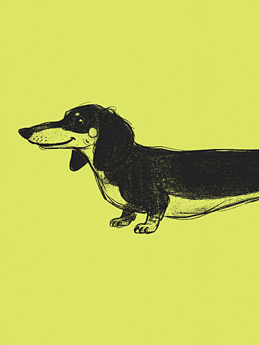 Happy Black Dachshund Pop art reproduction