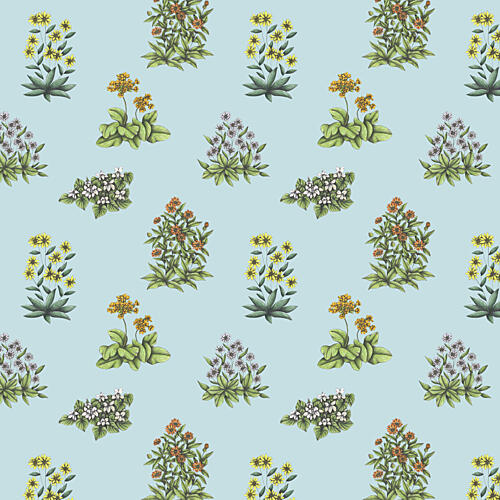Delicate Floral Illustrations Art Print by Cecilia Battaini