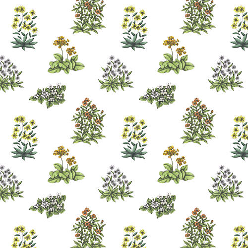 Vibrant Botanical Array Art Print
