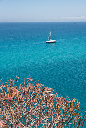 Turquoise Sea Sailboat Art Print