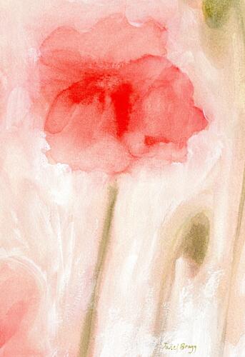 Soft Red Poppy Bloom Pop art reproduction