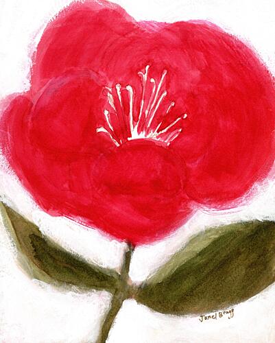 Vibrant Red Flower Bloom Art Print
