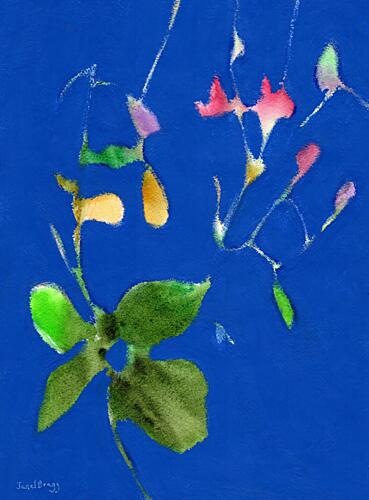 Colorful Floral Blues Art Print