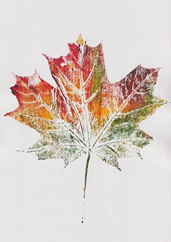 Maple Leaf Art Print