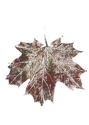 Rustic Autumn Maple Leaf Art Print