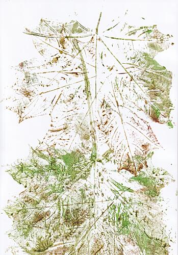 Autumn Leaf Impressions Art Print