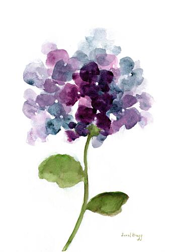 Soft Purple Hydrangea Art Print