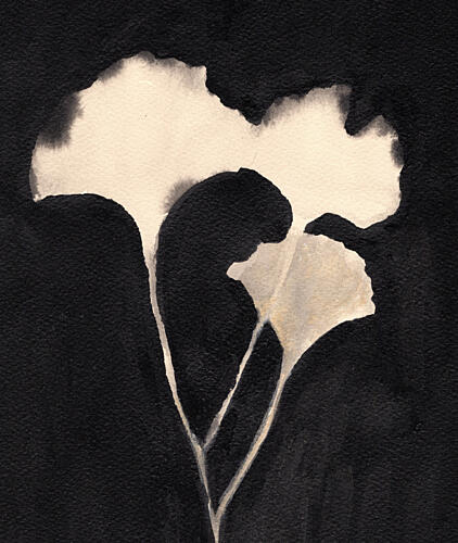 Subtle Ginkgo Serenity Art Print