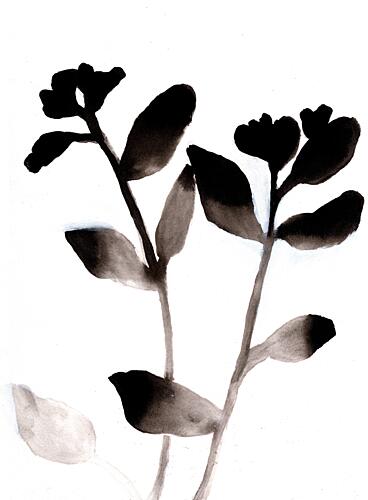 Minimalist Botanical Blooms Art Print