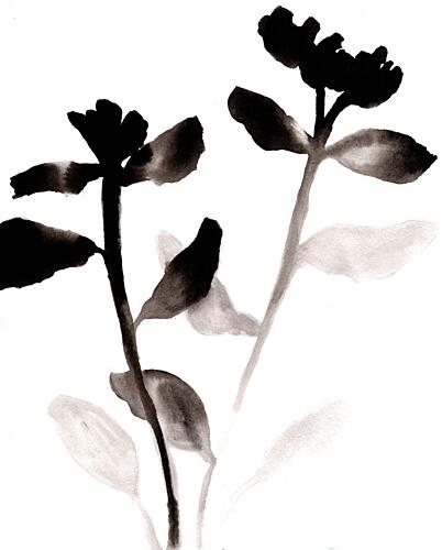 Black Ink Flowers Art Print