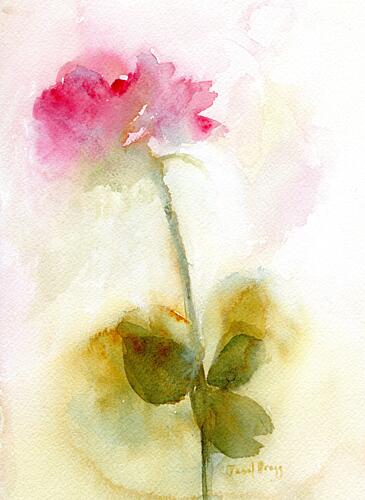 Soft Pink Rose Art Print