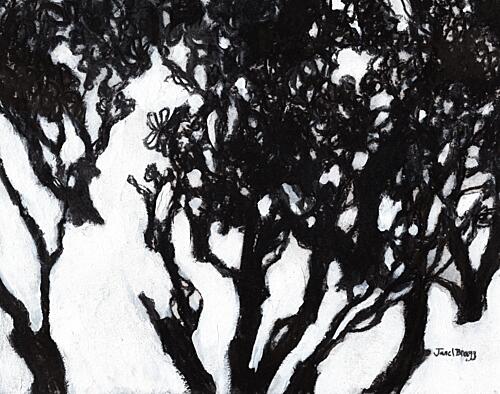 Stark Forest Silhouette Art Print