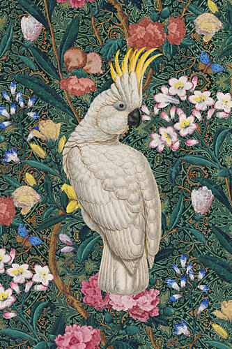 Vibrant Cockatoo Jungle Art Print