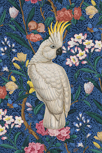 Exotic Cockatoo Floral Pattern Art Print