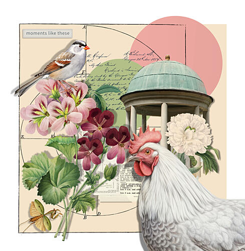 Garden Whimsy Collage Art Print