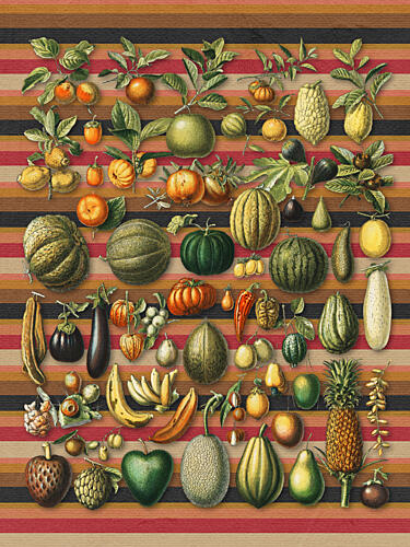 Vibrant Botanical Harvest Art Print