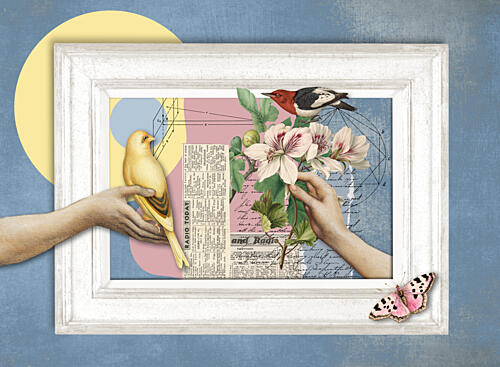Delicate Nature Collage Art Print