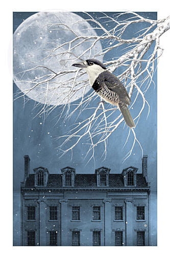 Bird under Winter Moon Art Print