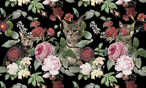 Cats Among Roses Art Print