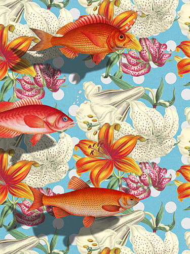 Tropical Fish and Lilies Art Print