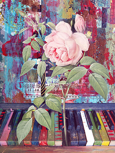 Colorful Piano Rose Art Print