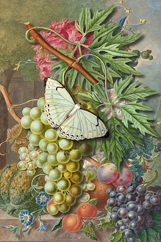 Butterfly and Fruit Still Life Art Print