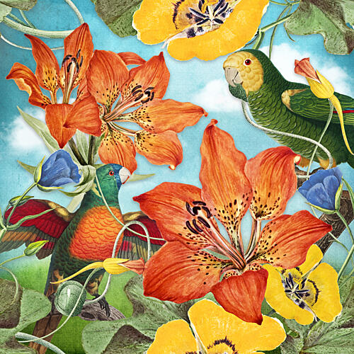 Exotic Birds Tropical Blooms Art Print