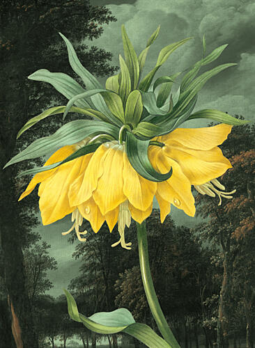 Elegant Yellow Bloom Art Print